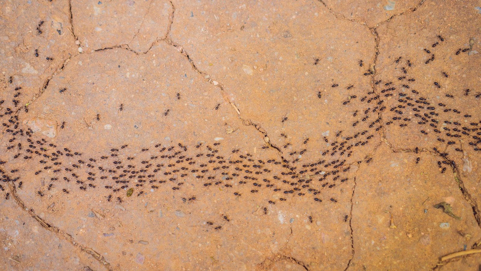 From Browsers to Collectors: Turning Website Traffic into Real Buyers