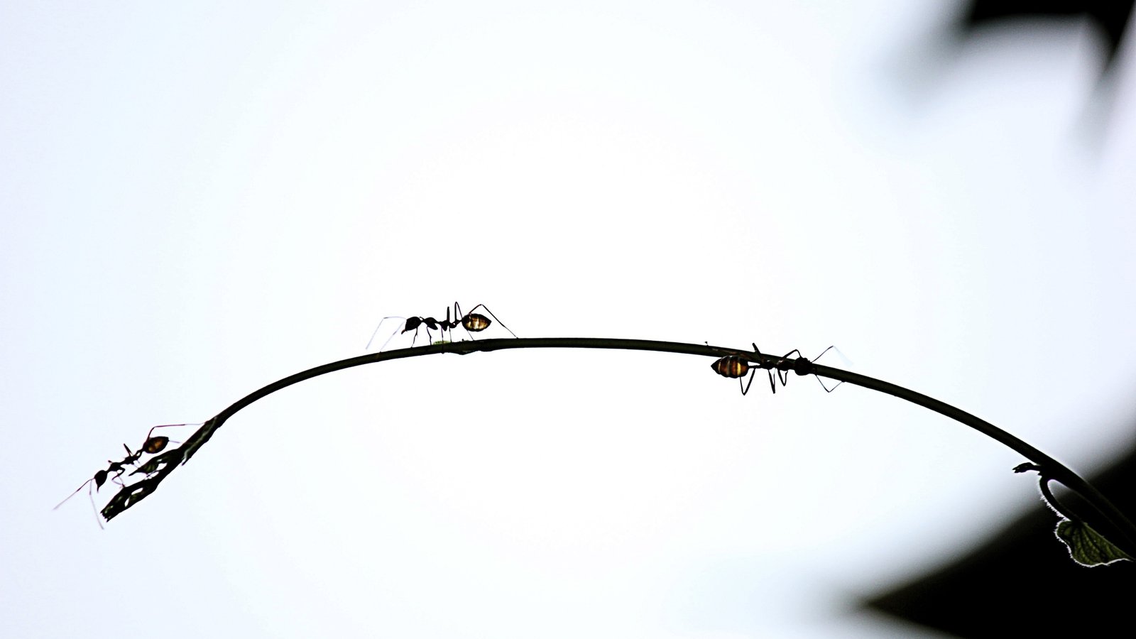 Luxury is Attention: How to Make Your Gallery or Design Studio Stand Out in 2025