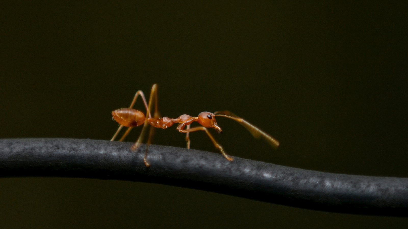 Meta Ads for Creators, Part 2: You’re Targeting the Wrong People