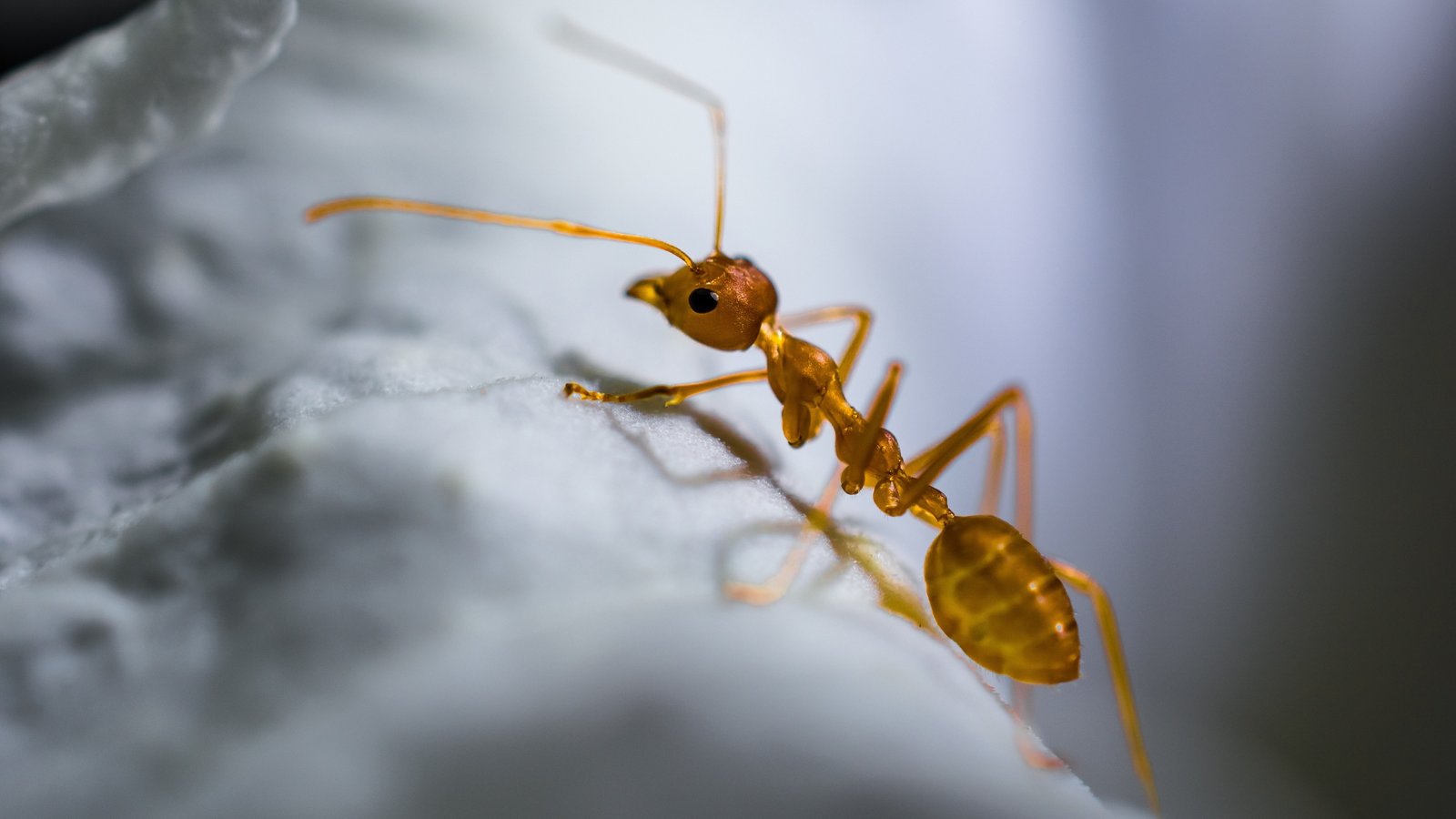 Meta Ads for Creators, Part 3: Track These Metrics or Don’t Bother Advertising