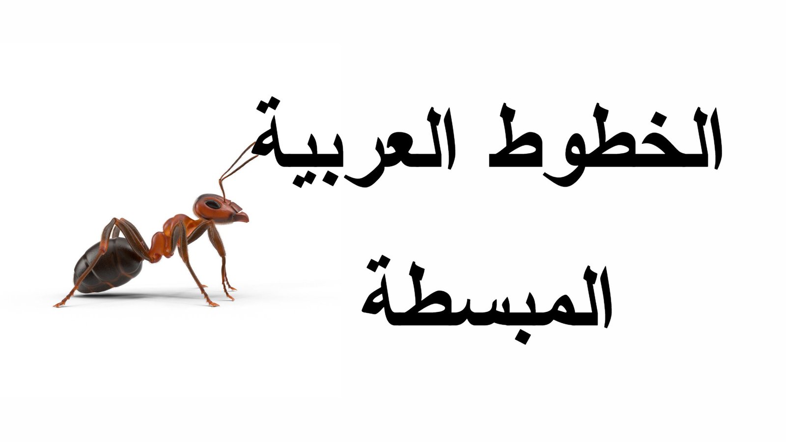 Yaqut Never Left: The Timeless Echo of Islamic Typography